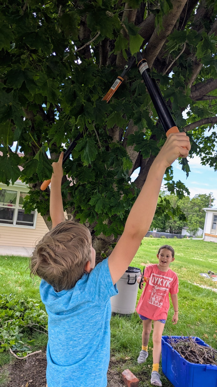 Malachi trimming a tree branch