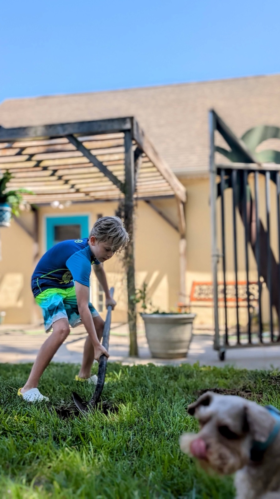 Malachi digging a hole to plant a bush